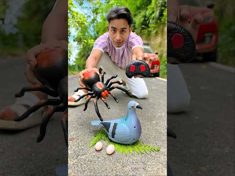 Amr Birds und RC Spider Unboxing😍