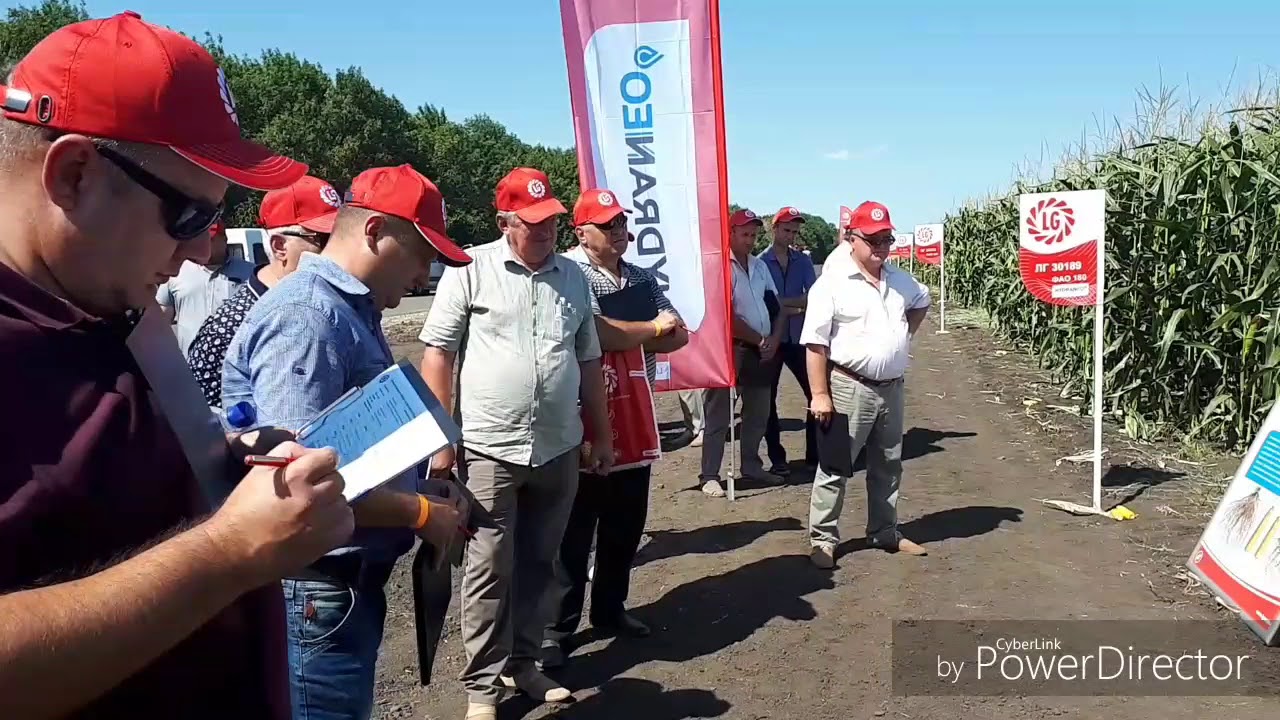 Насіння кукурудзи ЛГ 30189