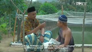 Download lagu Story WA Agus Kotak Versi Bulu Perindu TERBARU!!! mp3
