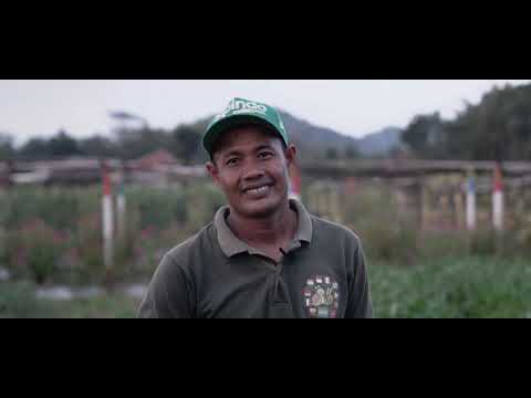 , title : 'Juara 1 Video Kementan "Inovasi Pertanian Di Tengan Pandemi"'