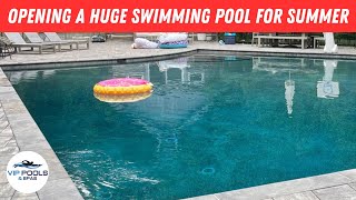 How to Open a HUGE Salt Water Gunite Swimming Pool | Gunite Pool Opening