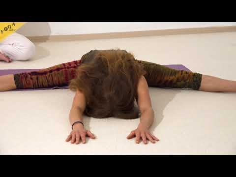 Sitzende Grätsche mit Stirn auf dem Boden - Yoga Asana Lexikon