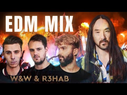 【EDM】W&W , R3HAB , David Guetta , Steve Aoki  , Timmy Trumpet , ZEDD , Avicii , Hardwell VOL4