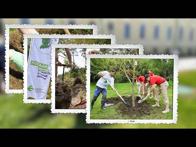 В Иркутском Суворовском училище появился «Сад памяти»