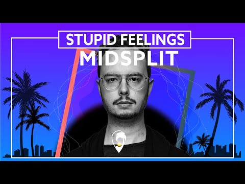 Midsplit - Stupid Feelings [Lyric Video]