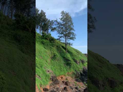 Beach Please 😍🌊❤️ #shorts #youtubeshorts #viral