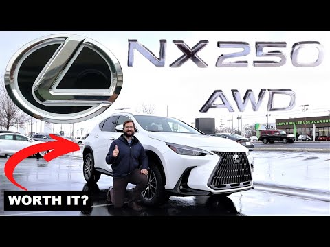 2023 Lexus NX 250: Just A Fancy RAV4?