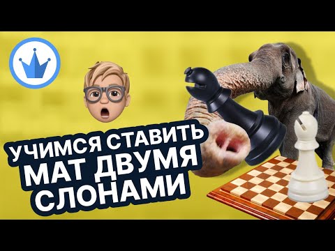 Мат двумя слонами