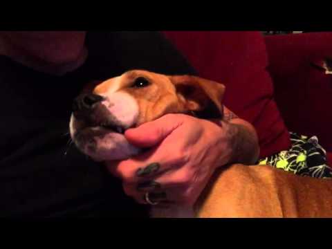 It's a Grimm-Life Daily Vlog #10 - Grimm-Thoughts