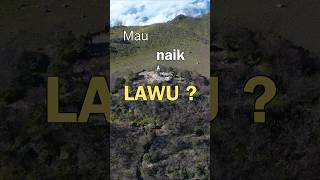 Download lagu Want to climb Lawu? DON'T choose the path. #shorts #lawu #gununglawu mp3