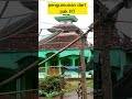 MEME LUCU PAK RT GAGAL MENYAMPAIKAN PENGUMUMAN Shorts Short Trending Youtubeshorts