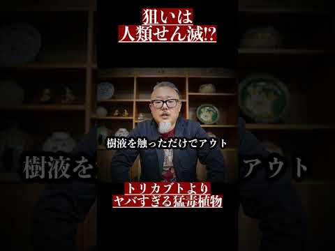 凍ってしまったキョウチクトウを復活させる方法は？彼を救う究極のヒントがここにある！  庭園