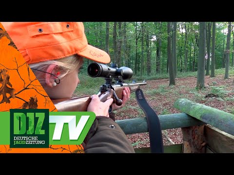 DJZ-Drückjagd 2016 - PareyGo Classics