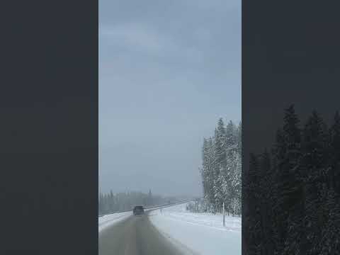 This view 😍 #shortsfeed