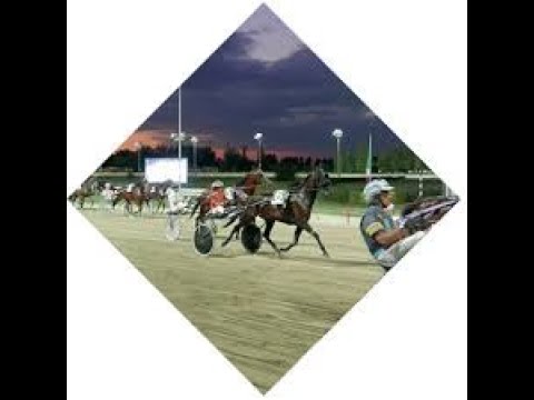 Modena replica corse del 21 05 2021 Ippodromo Ghirlandina - Triplete di A.Di NARDO