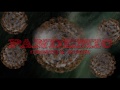 PANDEMIC (trailer)