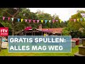 De hele inboedel wordt weggegeven & alpaca's geven liefde | Drenthe Nu 22 juli 2021