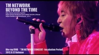 TM NETWORK / BEYOND THE TIME（TM NETWORK CONCERT -Incubation Period-）