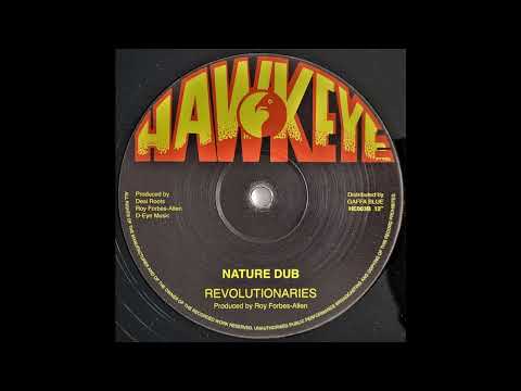 DESI ROOTS - Nature Boy