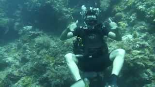 preview picture of video 'wonderful diving in Pulau Menjangan - Bali, Indonesia'