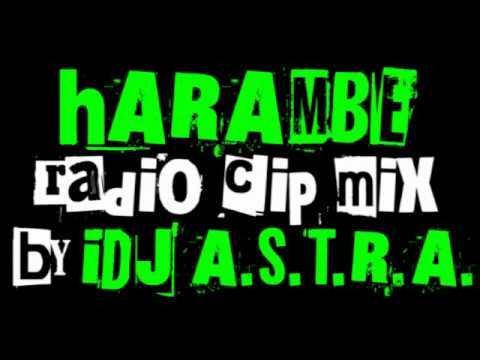 Saba Saba feat. E Dee & iDJ A.S.T.R.A. - Harambe Radio Clip [Weapon Riddim]