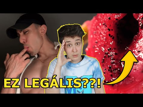 A Kan0s TikTok Séfek Kaotikus Világa