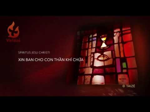 Thể hiện bởi Vietaizé