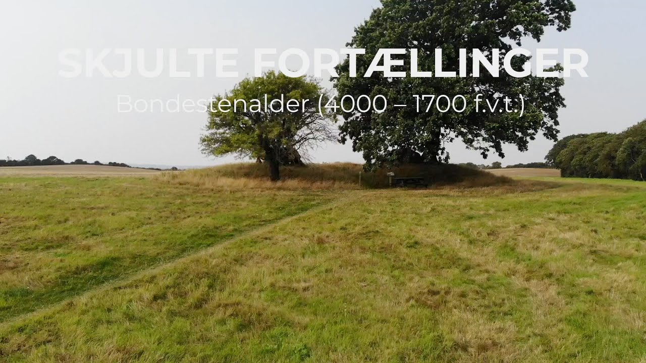 Bondestenalderen: Livet på Langeland for 6000 år siden