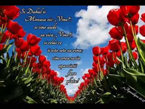 Grupul Hava Maranatha - Tu, ai un Mire (Vol.4)