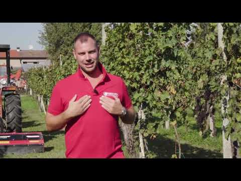 Ceccato Olindo - Macchine agricole - Presentazione