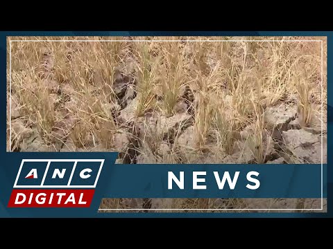 DA official: Agriculture losses due to El Nino hit P5.8-B ANC