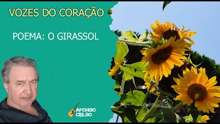 Vozes do coração. Poema: um girassol (homenagem)