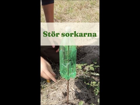 Disturb the Voles - GardenHacks by GardenR