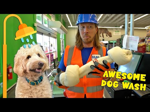 Handyman Hal Awesome song | Dog Bath Time - Kingdom Kids Zone, Sing With Me - Handyman Hal - Music for Kids