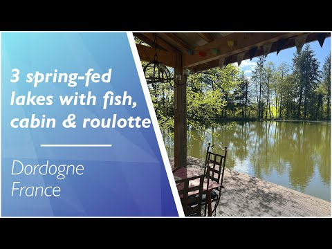 Lacs à vendre à Saint-Priest-les-Fougères, Dordogne - 160 000 € - photo 3
