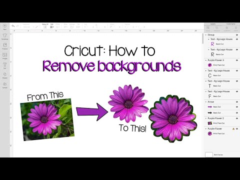Cricut Design Space Tutorial: How to Remove the Background from any Image!