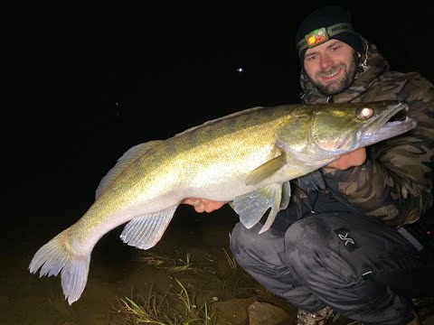ESKALATION AM FLUSS! Nachts mit Wobbler auf Zander - die aktuell beste Angeltechnik??