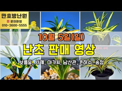 유튜브 썸네일