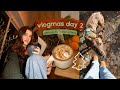 VLOGMAS DAY 2: Getting my foster kittens!!
