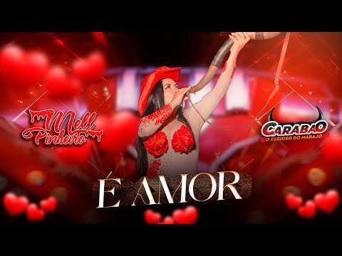 Mell Pinheiro - É amor - Carabao