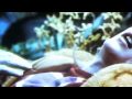 ℑ⊇≥≤⊆ℜ (from Mater Suspiria Vision) - DELERIUM ...