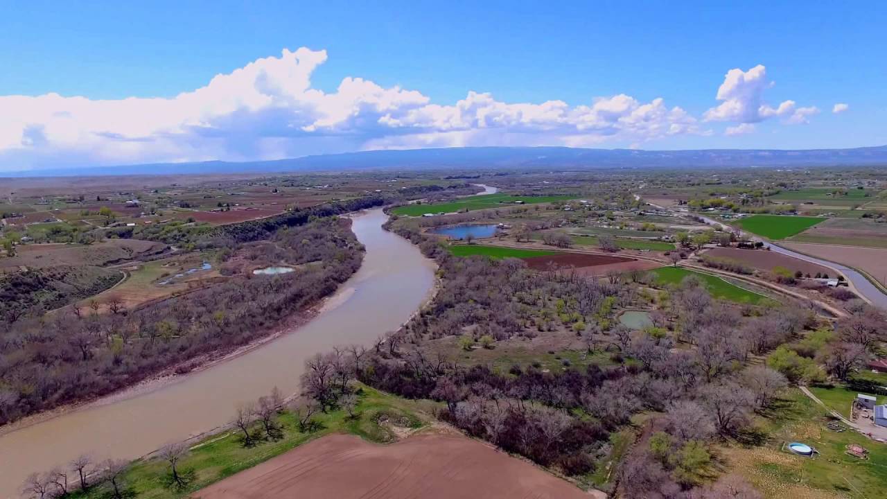 Video: Taylor Farm Ranch as of 04-11-2016 DJI Inspire Drone during Peach Bloom.