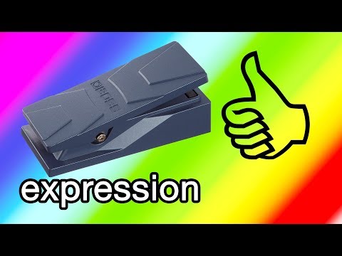 BOSS EV-30 Expression Pedal Does Ambient Guitar!