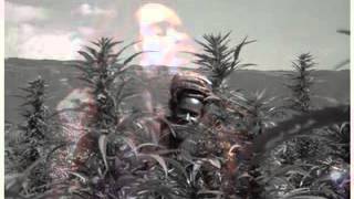 Trinity-Words of the Prophet, Max Romeo-Blood of the Prophet