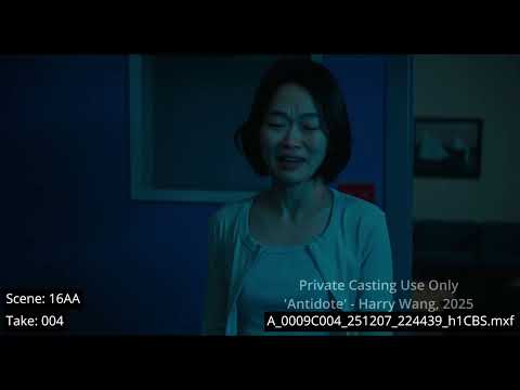 비디오 8
