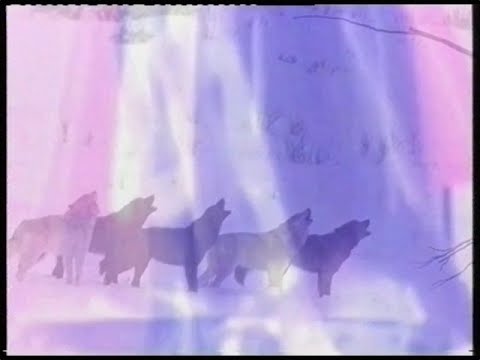 DJ IBUSAL + LOBO - Olympos Promo