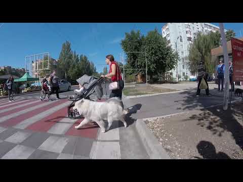 Morning drive - microdistricts Oktyabrsky - Zapadny _GOPRO 21.09.2020