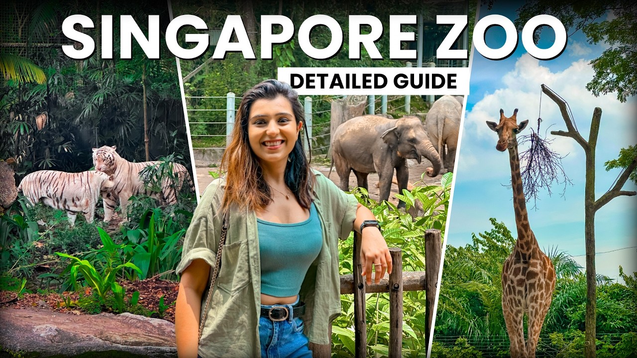 Your ultimate journey into the heart of Singapore Zoo, an immersive exploration awaits.