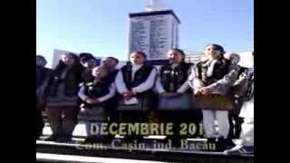 preview picture of video '1 Decembrie 2013 Casin'