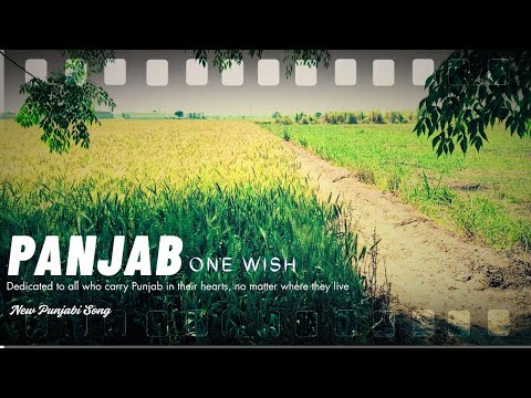 Panjab - One Wish | New Punjabi Song 2025 | Preet
